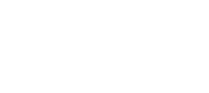 Promote:Global logo