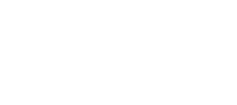 project logo